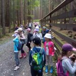 phoca_thumb_m_vp 17.6.2025  53 Fotogalerie